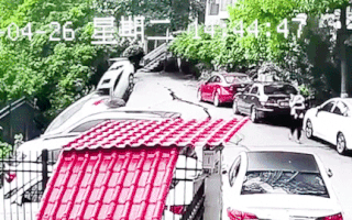 Video: Khoảnh khắc sạt lở đất cuốn trôi 8 ô tô, 2 mẹ con may mắn thoát nạn