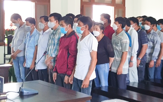 Video: Cựu hạt trưởng kiểm lâm huyện Tây Hòa bị phạt 2 năm 3 tháng tù vì tiếp tay phá rừng