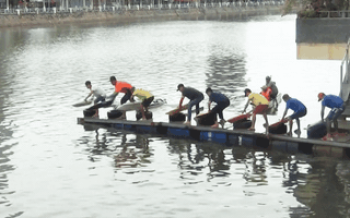 Video: Sôi động tàu mô hình đua tốc độ lần đầu tiên ở Tiền Giang