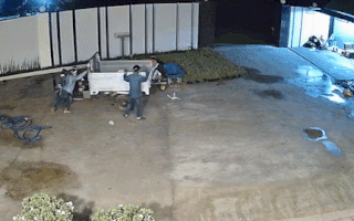 Video: Camera ghi hình vụ mất trộm xe ba gác trị giá hàng chục triệu đồng tại vựa hoa kiểng