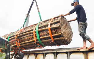 Video: Dâng cúng Bà Chúa Xứ núi Sam cặp bánh tét 3,6 tấn