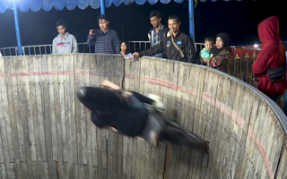 Video: Hồi hộp xem 'Công chúa của bức tường tử thần' biểu diễn môtô bay