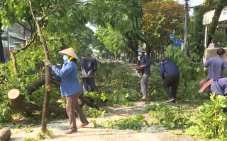 Video: Giông lốc giật mạnh, nhiều cây xanh ở Đồng Xoài gãy đổ