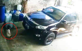 Video: Cháu bé lọt vào gầm ô tô, cảnh báo tai nạn khi nhà có trẻ em