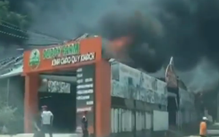 Video: Cháy tại điểm du lịch nông trại cún Puppy Farm ở Đà Lạt, nhiều tài sản bị thiêu rụi