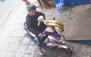 Video: Chó cưng bị trộm bắt đi, chủ nhà ở Gò Vấp 'khóc ròng'