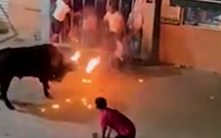 Video: Bò tót húc chết người trong lễ hội ở Tây Ban Nha