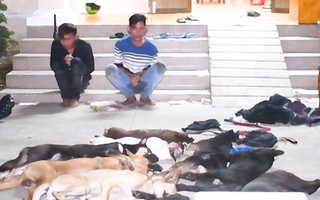 Video: Bắt 2 người dùng súng điện bắn trộm chó ở Trà Vinh