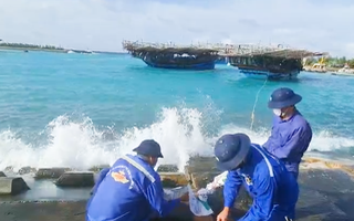 Video: Các âu tàu, làng chài ở Trường Sa đón gần 800 ngư dân vào tránh bão số 4