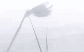 Video: Bão Ian quật tơi bời bang Florida của Mỹ với sức gió 241km/h, 23 người di cư mất tích do chìm tàu