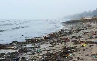 Video: Bãi biển Cửa Lò chuyển màu đen kịt kéo dài cả cây số