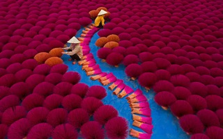 Ảnh phơi nhang ở Việt Nam vào top những khung hình rực rỡ nhất thế giới