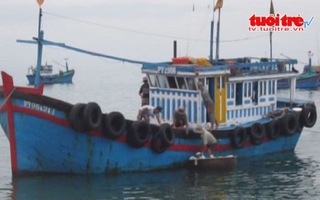 Ngư dân Phú Yên trúng cá sau chuyến biển đầu năm