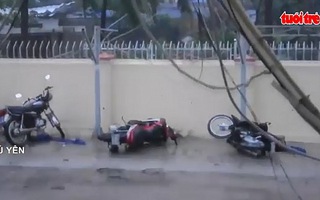 Bão số 12 càn quét: Khánh Hòa, Phú Yên nhà tốc mái, cây đổ đầy đường