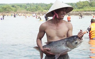 Hàng ngàn người tranh nhau bắt cá dưới chân đập Trị An