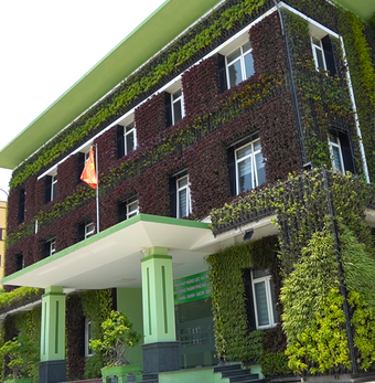 Độc đáo công sở 'chống nóng' phủ kín cây xanh ở Quảng Bình