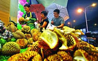 Trung Quốc và "sầu riêng mộng"