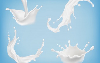 Mỗi tuần một chuyện: Ông Park uống sữa gì?