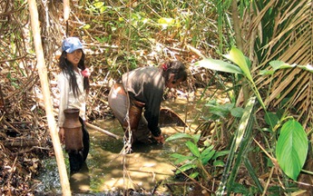 Theo dấu chân tê giác Việt Nam: Nước đâu cả rồi?