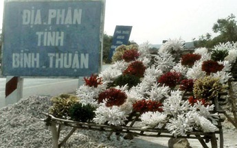 Tận diệt san hô