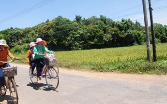 Giữ rừng nguyên sinh bên biển