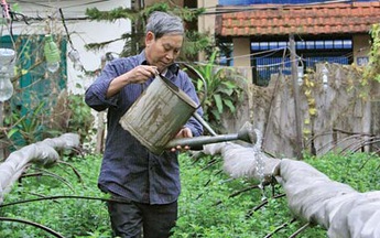 Nông dân ở phố