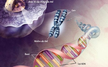 Bí ẩn gen di truyền