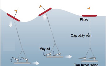 Từ tiếng hát cá voi tới con tàu lượn sóng