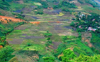 Một lần đến thung lũng sâm đắng