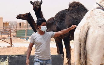 ​MERS còn đáng sợ hơn SARS