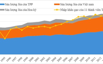 Thị trường gạo TPP không dễ chiếm