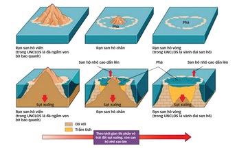 Đi tìm sự thống nhất