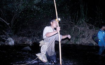 Săn rắn trong rừng cấm