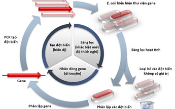 Nobek Hóa học 2018: Tìm hiệu quả từ những điều đơn giản