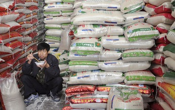  Gạo Việt Nam xuất khẩu: Âu lo trước quá nhiều ẩn số