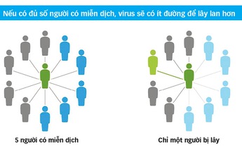 Bài toán lắt léo của miễn dịch cộng đồng