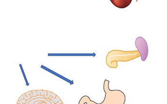 Những tiến bộ vượt bậc trong điều trị bệnh đái tháo đường