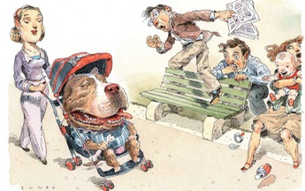 Chó Pit bull, huyền thoại sai lạc và những trách nhiệm bị xao lãng