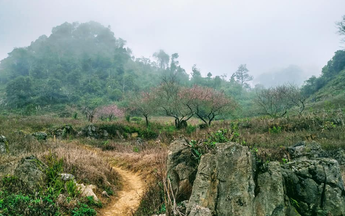 Bóng không lăn, cầu thủ làm gì?