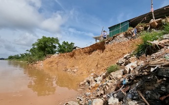 Sốt xuất huyết: Nghiên cứu cách phòng chống mới