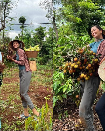 Ảnh vui sao Việt 9-8: Hoa hậu H’Hen Niê như nông dân chính hiệu