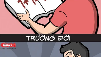 Trường học và trường đời