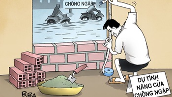 Dự án... nâng cửa chống ngập