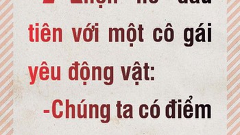 Điểm chung về động vật