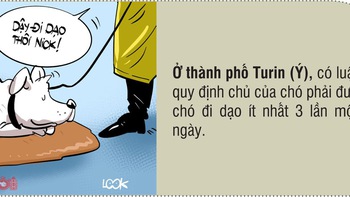 Những điều luật kỳ lạ trên thế giới