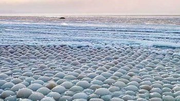 Hàng ngàn "quả trứng băng" quý hiếm được tìm thấy trên bãi biển ở Phần Lan