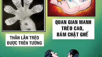 So sánh thằn lằn và quan tham