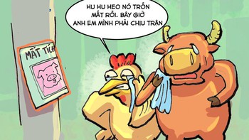 Khi bé heo mũm mĩm bị mất tích