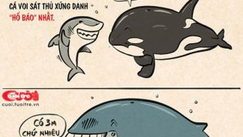 Infographic: Cá voi, gia tộc của những kỷ lục