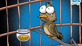 Chuyện tào lao: Chú chim sẻ bị đi tù